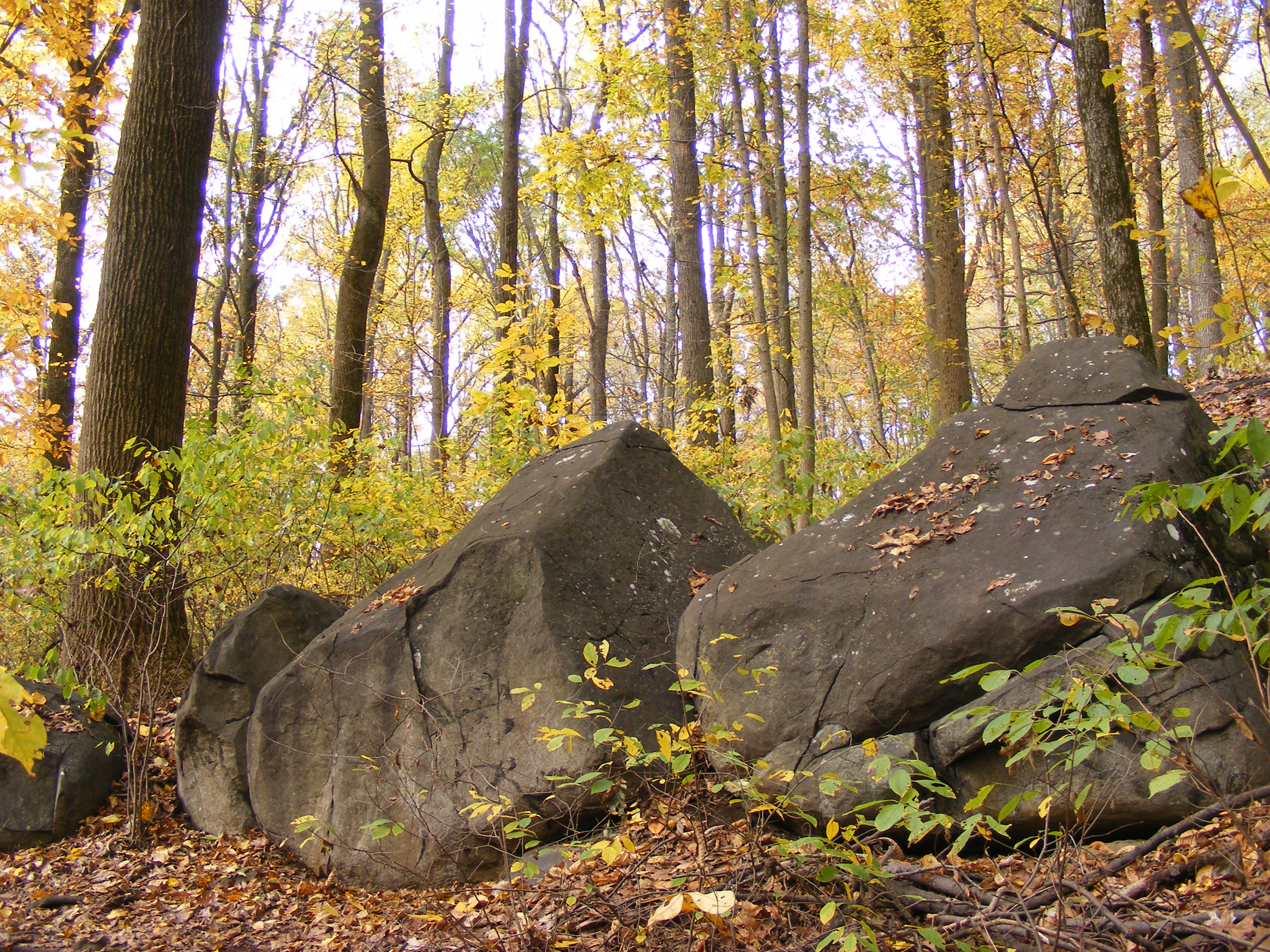 Clarence Schock Memorial Park At Governor Dick Buy-A-Brick Campaign