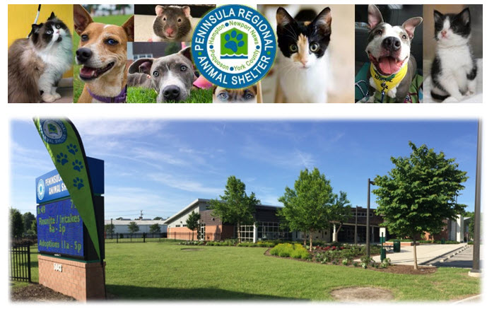 Peninsula Regional Animal Shelter Pet Paver Fundraiser