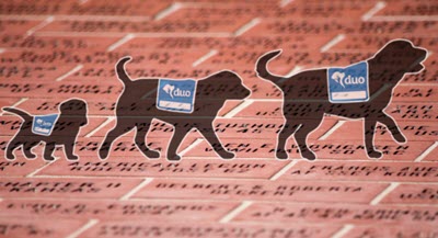Duo Dogs, Inc. Duo Dogs Brick Campaign