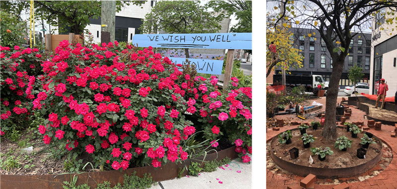 Fishtown Neighbors Association FNA's Rose Garden Fundraiser