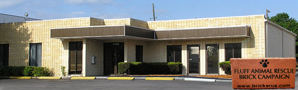 FLUFF Animal Rescue, Inc Pave A Way "PAW" Campaign to Fund the New Rescue Location!