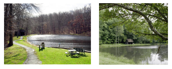 Friends Of Pound Ridge Friends Of Pound Ridge Pondhouse Project