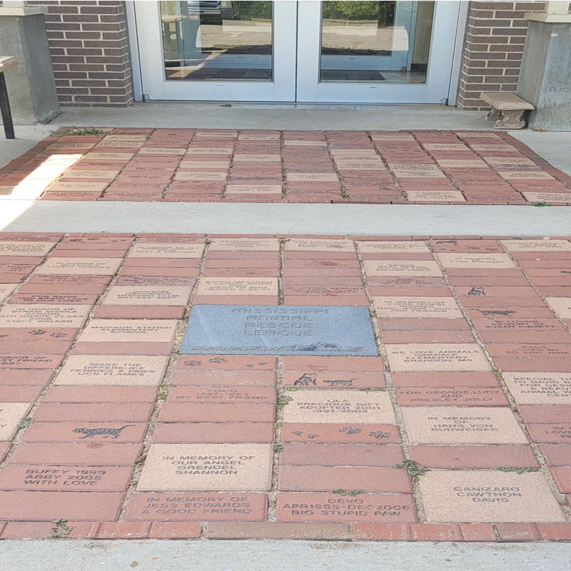 Mississippi Animal Rescue League (MARL) Walk of Love Brick Program