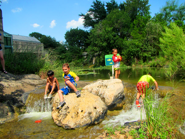 Friends of Austin Nature & Science Center