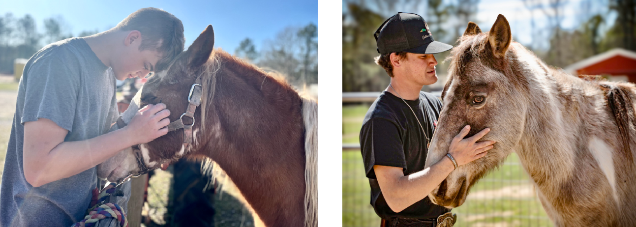 Healing Hearts Through Hooves INC Reflection Plaza
