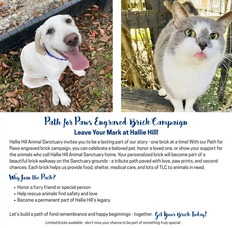 Hallie Hill Animal Sanctuary