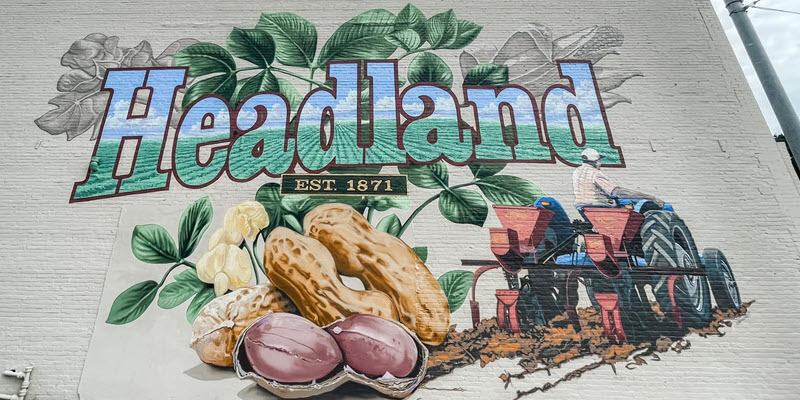 Heart of Headland