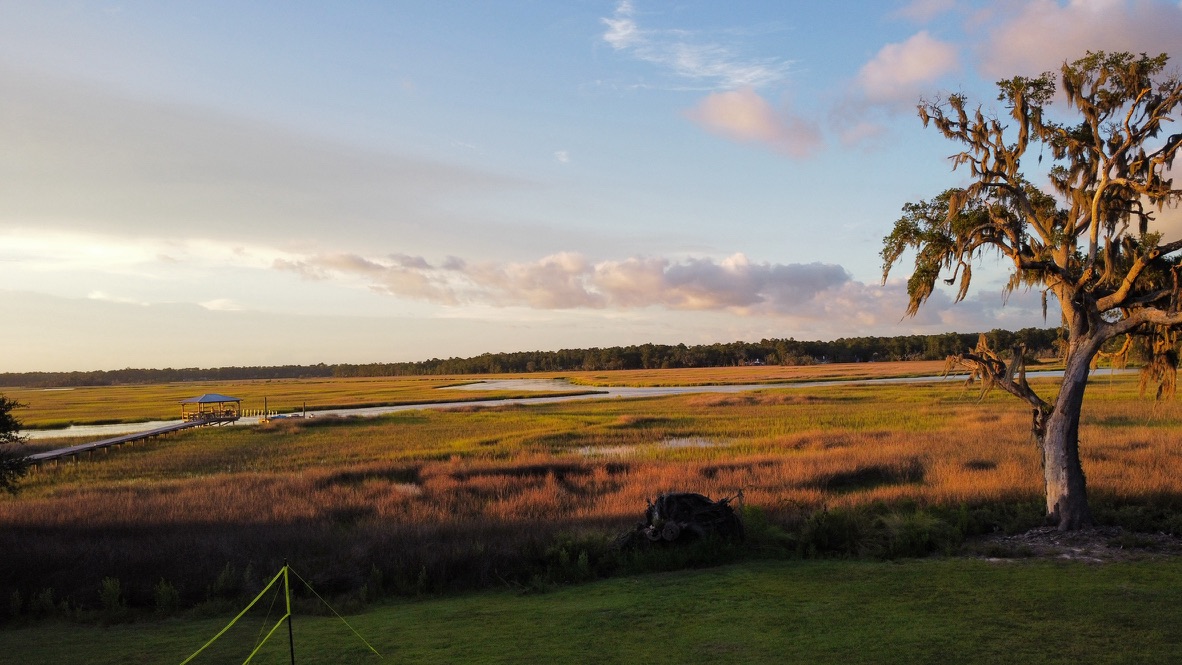 High Tide Collective