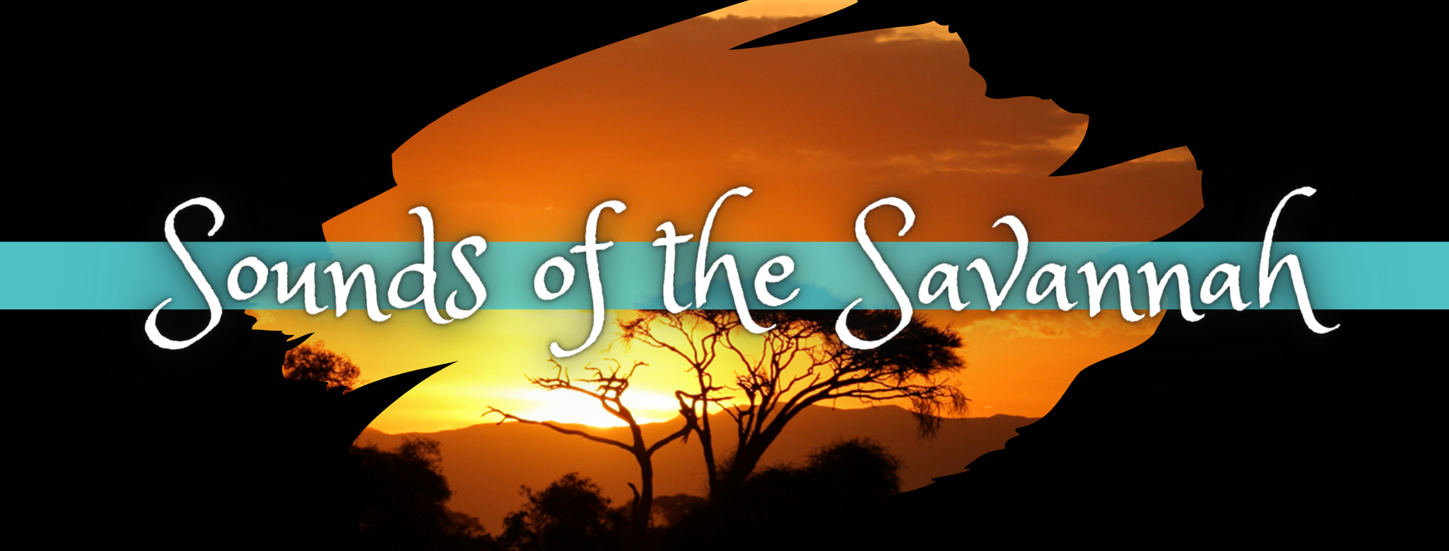 ALES PTO "Sounds of the Savannah"