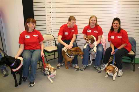 Kalamazoo Animal Rescue Walkway Campaign