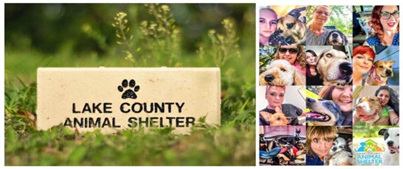 Lake County Animal Shelter