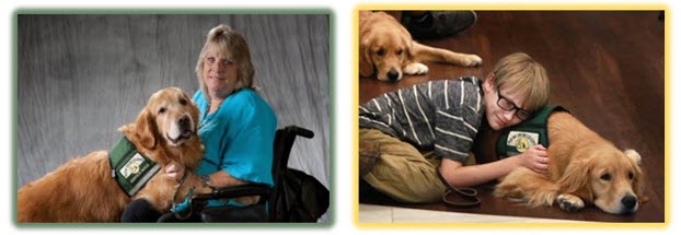 New Horizons Service Dogs Inc.