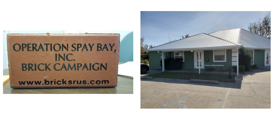 Operation Spay Bay Beautify and Surgify!