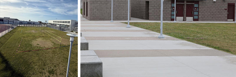 Pointers Association The Pointer Legacy Brick Project