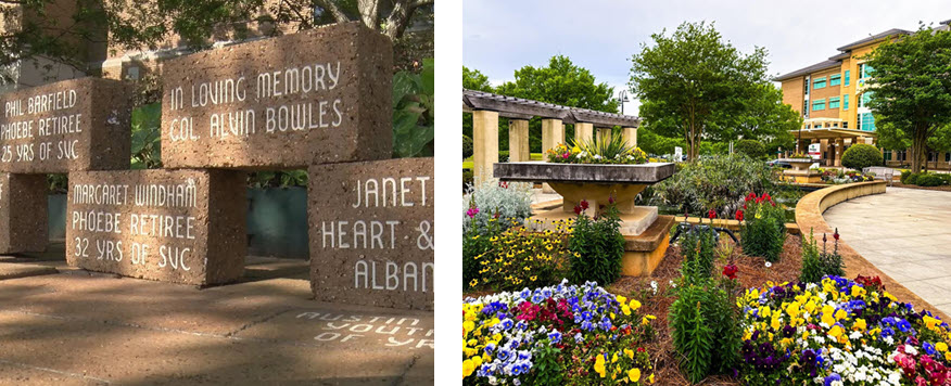 Phoebe Sumter Foundation, Inc.