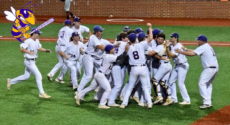 C.E. Byrd Baseball Byrd Baseball Brick Fundraiser