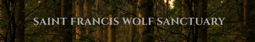 Saint Francis Wolf Sanctuary