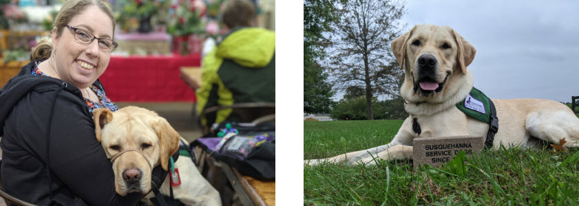 Susquehanna Service Dogs