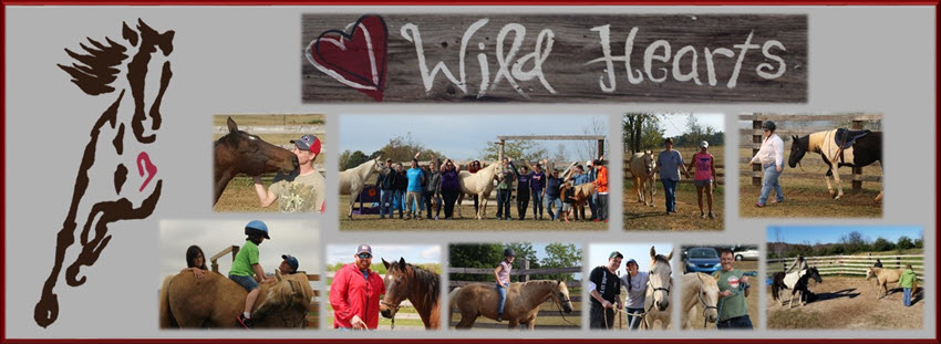 Wild Hearts Equine Therapeutic Center, Inc. Help us Pave the Way to a brighter future!