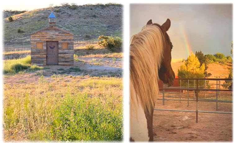 The Pet Chapel at Healing River Ranch