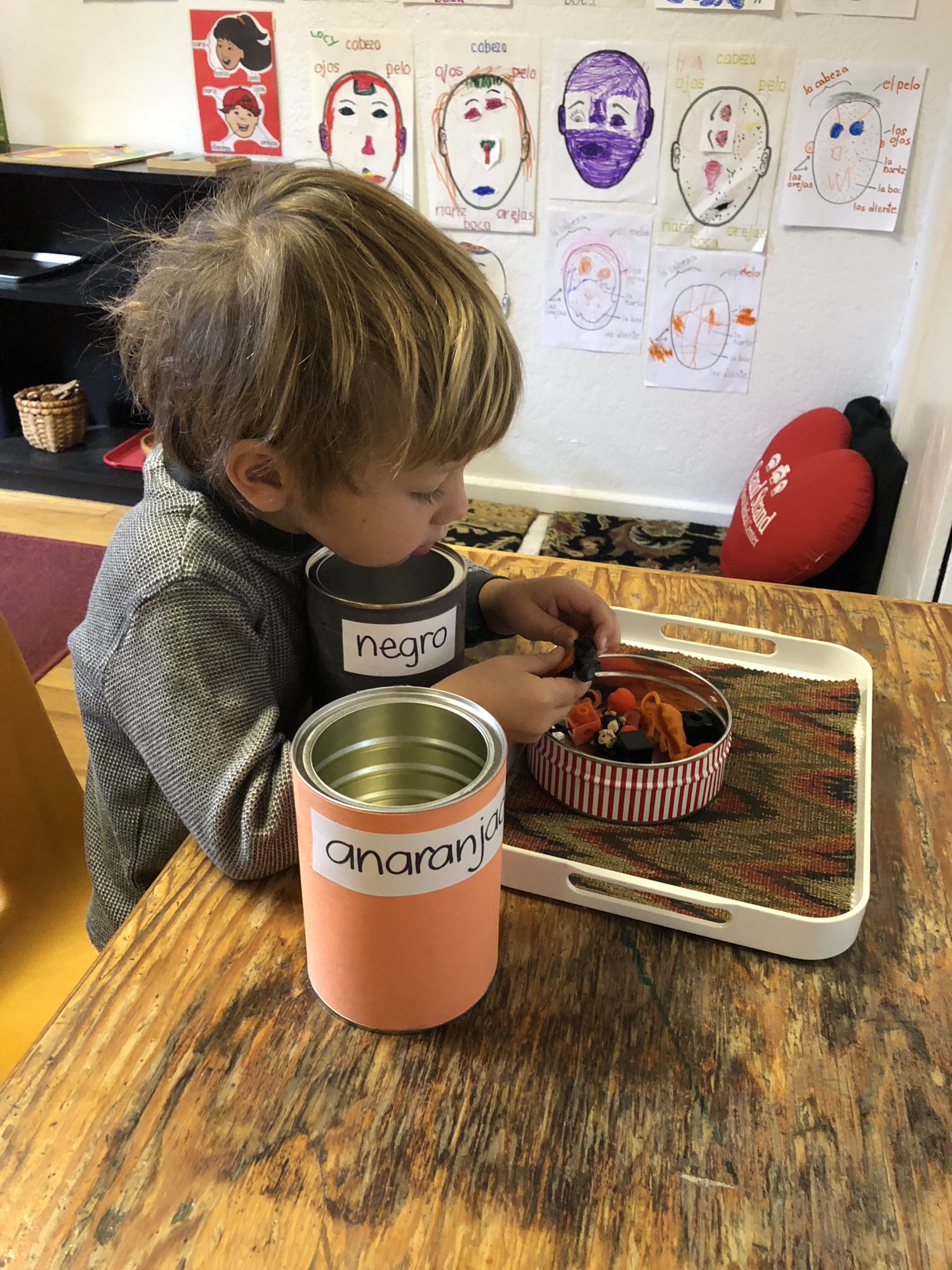Children's House of Durango Remodel Fundraiser