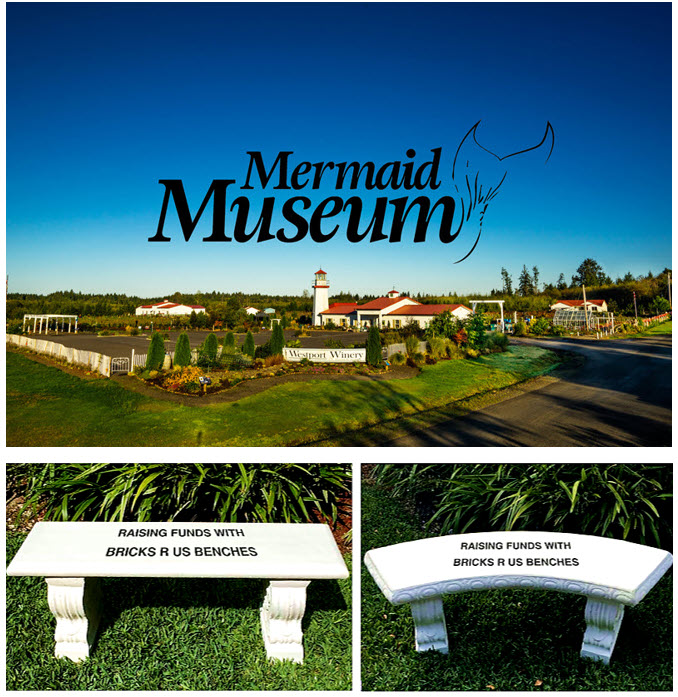 International Mermaid Museum Ocean Ecology From Seashore to Sea Floor Immersed in Mermaid Mythology