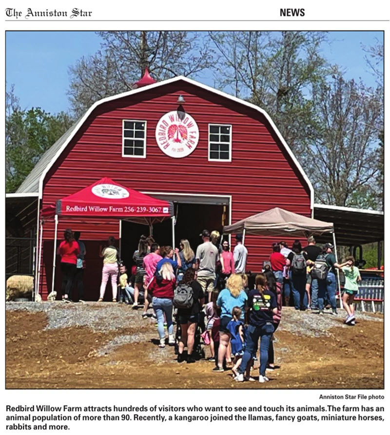 Redbird Willow Farm Non Profit Justin�s Redbird Remembrance Walk
