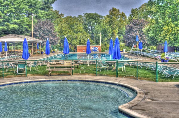 Springlake Swim Club