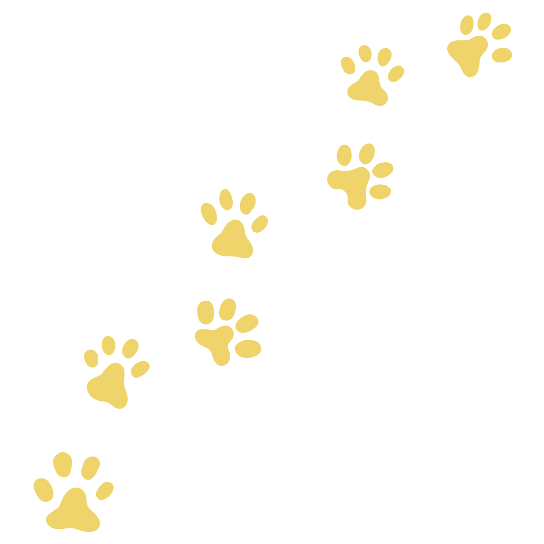 Saint Helena School Saint Helena Tiger Tracks