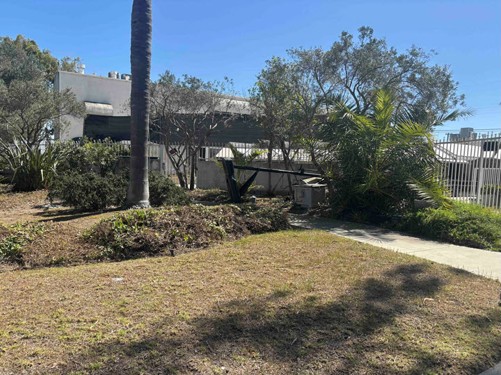 Temple Menorah Temple Menorah Meditation Garden