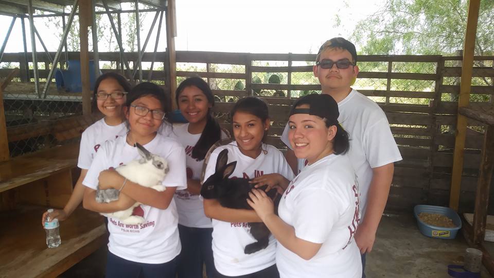 Yaqui Animal Rescue Brick Fundraiser