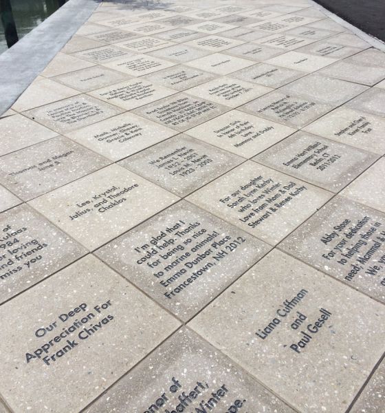 Engraved Bricks