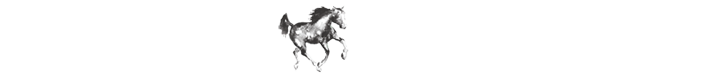 Joyful Horse Project