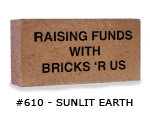 Standard engraved sunlit earth brick