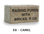 Icons engraved camel brick