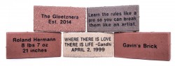 Multi colored laser engraved bricks